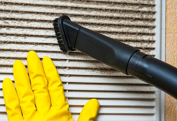 Best Home Air Vent Cleaning  in Pahala, HI
